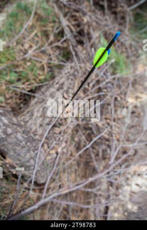 Sports arrow stuck in a log. Focus on straight parabolic fletchings Stock Photo