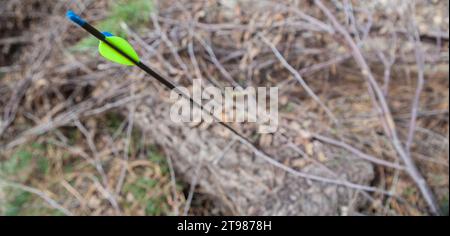 Sports arrow stuck in a log. Focus on straight parabolic fletchings Stock Photo
