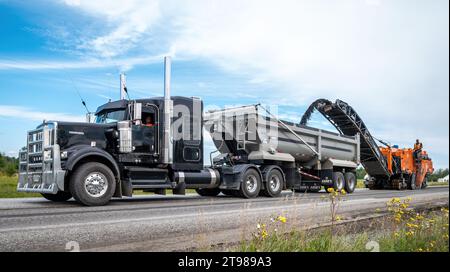 Macamic, Quebec, Canada, 2023-08-21 : Black semi trailer with a orange planer working on a road construction site, with small flowers in the foregroun Stock Photo