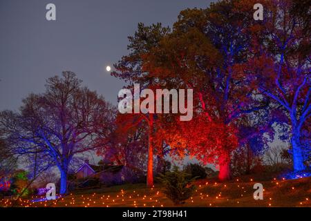 RHS Gardens Wisley, Surrey, UK. 23rd Nov, 2023. Magical preview evening at RHS Gardens Wisley. At Glow 2023, see the garden in breathtaking beauty as amazing illuminations light the visitors route on a wonder-filled journey. The colourful Festive event runs from 24 Nov 2023 - 2 Jan 2024. Credit: Malcolm Park/Alamy Live News Stock Photo