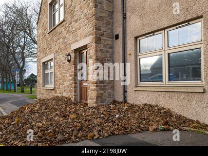 Elgin, Moray, UK. 23rd Nov, 2023. This is a large amount amount of Leaves, that by means of the wind that have gathered around one doorway in New Elgin. Credit: JASPERIMAGE/Alamy Live News Stock Photo