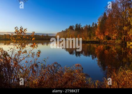 Typical autumn landscape in Trebonsko region in Southern Bohemia, Czech Republic Stock Photo