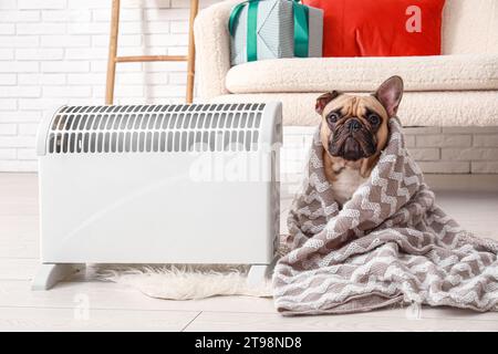 Cute French bulldog with plaid and electric heater at home Stock Photo