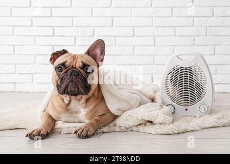 Cute French bulldog with plaid and electric fan heater near white brick wall Stock Photo