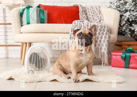 Cute French bulldog with electric fan heater at home on Christmas eve Stock Photo
