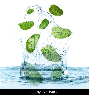 Mint leaves falling into water on white background Stock Photo
