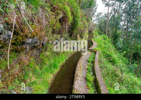 dense forest trail through an old irrigation water channel in typical Portuguese operation on the island of Madeira Stock Photo