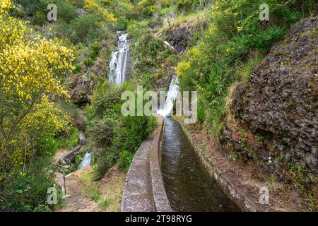 dense forest trail through an old irrigation water channel in typical Portuguese operation on the island of Madeira Stock Photo