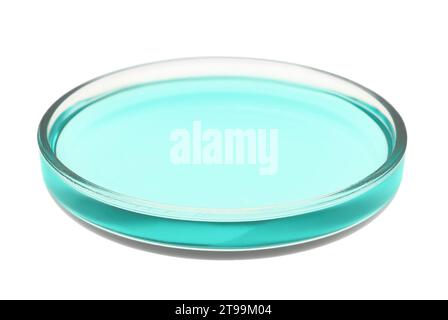 Petri dish with turquoise liquid isolated on white Stock Photo - Alamy