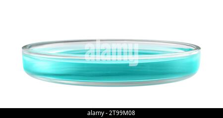 Petri dish with turquoise liquid isolated on white Stock Photo - Alamy