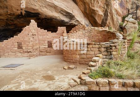 The incredible Long House cliff dwelling at Mesa Verde National Park ...