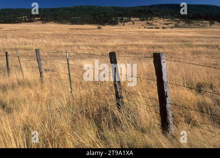 Ranch fence in grassland, Hells Canyon Scenic Byway, Union County, Oregon Stock Photo