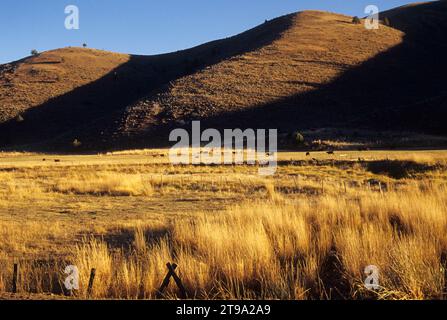 Pasture on South Fork John Day River outside of Izee, Grant County, Oregon Stock Photo