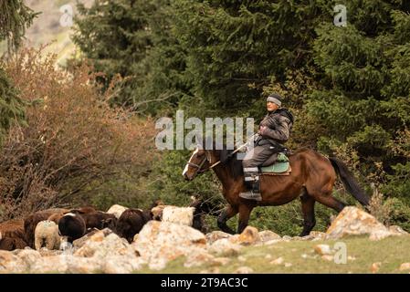 Shepherd on horseback guiding a flock of sheep in the mountain range Kyrgyzstan Stock Photo