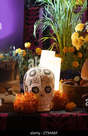 A Skull decorated for Day of the Dead in Mexico with damascene or cempasuchil flowers Stock Photo