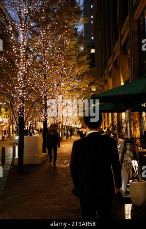 Tokyo, Japan. 24th Nov, 2023. LED lights illuminate the Marunouchi business district in Tokyo. This year, 1.2 million champagne color lights are used to light up Marunouchi's Nakadori Street, one of the most popular illumination spots in Tokyo during Christmas season. The illumination is held until mid-February. (Credit Image: © Rodrigo Reyes Marin/ZUMA Press Wire) EDITORIAL USAGE ONLY! Not for Commercial USAGE! Stock Photo