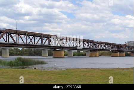 Grafton Bridge over the Clarence River with water, grass and birds in New South Wales, Australia Stock Photo