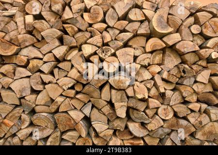 firewoods background in Serbia Stock Photo