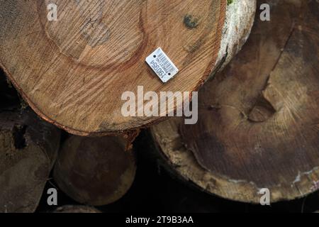 wood trunk with label-barcode in Serbia Stock Photo