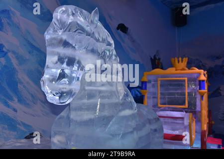 Snow, Ice World, Ice Sculptures playground, Phnomh Penh, Cambodia, South East Asia, travel, tourism, xmas fun, christmas fun Stock Photo