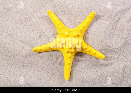 yellow starfish on the sand close-up top view. Starfish on the beach. Beach summer background with sand, sea and copyspace Stock Photo