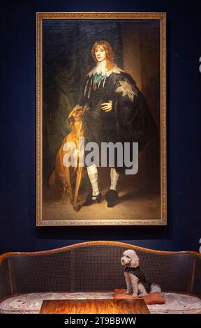 London, UK. 24th Nov, 2023. Christie's unveil the full pre-sale exhibition ahead of the auction of Ombersley Court: The Collection of Lord and Lady Sandys on 29 Nov 2023. Image: Follower of Sir Anthony Van Dyck, Portrait of James Stuart, 4th Duke of Lennox and 1st Duke of Richmond (1612-1655), full-length, wearing the star and Garter of the Order of the Garter, with his hound at his feet. Estimate £5,000-8,000. Credit: Malcolm Park/Alamy Live News Stock Photo