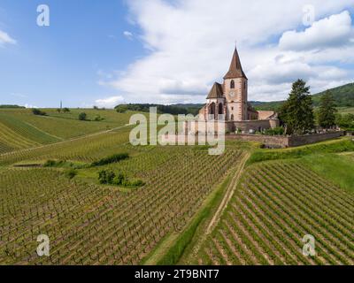 Little church on hill in vineyard Stock Photo