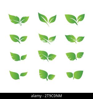 Set of different green leaf icons. Leaves icon. Leaves of trees and plants. Collection green leaf. Elements design for natural, eco, bio, vegan labels Stock Vector