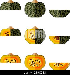 Set of Kabocha winter squash pumpkins. Chestnut squash. Cucurbita maxima. Fruits and vegetables. Flat style. Isolated vector illustration. Stock Vector