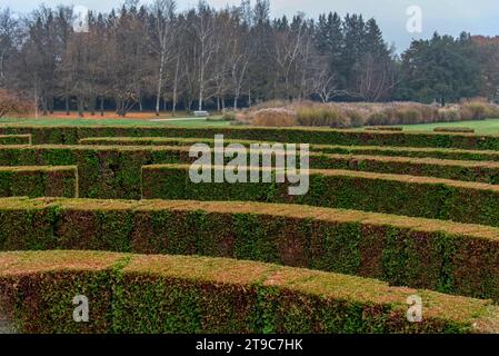 Hedge cut into a maze like puzzle pattern forming a garden labyrinth Stock Photo