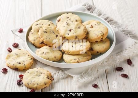 Dry cranberry and orange zest cookies close-up in a plate on the table. Horizontal Stock Photo