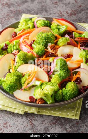 Fresh salad consisting of broccoli, apple, pecans, red onion, carrots and cranberries close-up in a plate on the table. Vertical Stock Photo