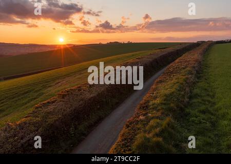 Sunset over a sunken country lane, Devon, England.  Spring (April) 2021. Stock Photo