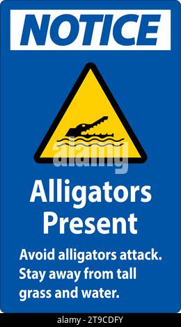 Alligator Warning Sign, Danger - Alligators Present Avoid Attack, Stay Away From Tall Grass And Water Stock Vector