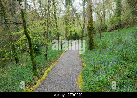 Plas Cadnant Hidden Gardens, Menai Bridge, Anglesey, North Wales. Stock Photo