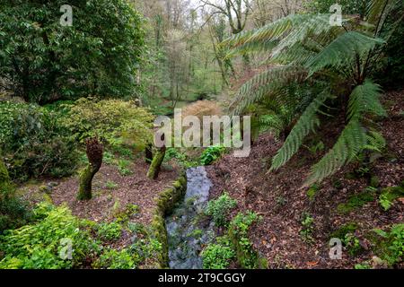 Plas Cadnant Hidden Gardens, Menai Bridge, Anglesey, North Wales. Stock Photo