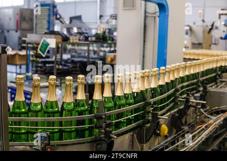 Green bottles with champagne wine are moving along the conveyor at the factory of sparkling wine. Champagne production. Stock Photo