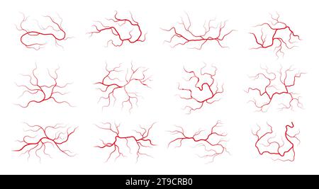 Human veins. Colorful blood vessels with flowing blood, arterial and venous system of human body, healthy circulatory system. Vector illustration of human health anatomy Stock Vector