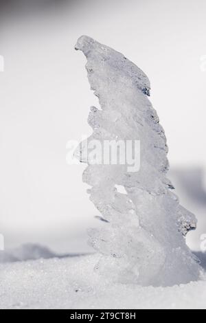 sculptures created by ice, curious shapes created by nature, Stock Photo
