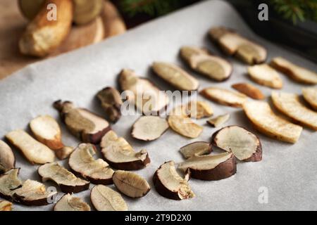 Drying fresh bolete mushrooms on a sheet of paper Stock Photo