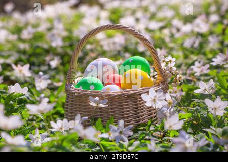Basket with Easter eggs in the forest closeup - season greeting card with selective focus Stock Photo