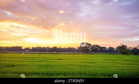 Sunset over the field of Pandi Bulacan Stock Photo