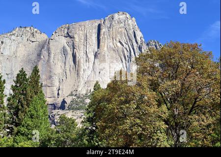 Yosemite National Park, California, USA. A view of the rugged famed El Capitan, from the floor of Yosemite Valley. Stock Photo