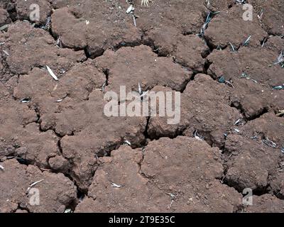 Dry and cracked land in Gunung Kidul Yogyakarta, Indonesia due to the long dry season. Global warming concept. Stock Photo