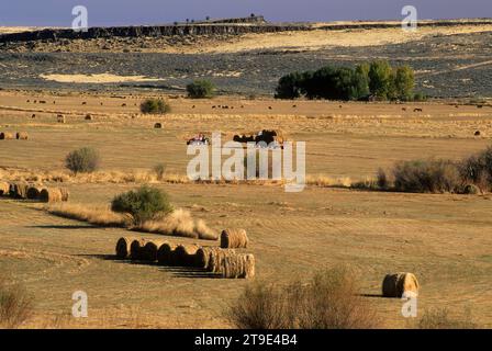 Diamond Valley ranchland, Diamond Loop National Back Country Byway, Harney County, Oregon Stock Photo