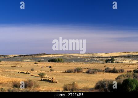 Diamond Valley ranchland, Diamond Loop National Back Country Byway, Harney County, Oregon Stock Photo