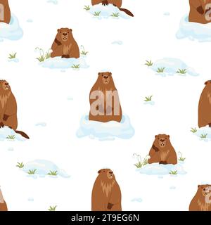 Seamless pattern with cute marmots with snow and snowdrops on white background. Vector illustration. Holiday design, decor, packaging and wallpaper fo Stock Vector