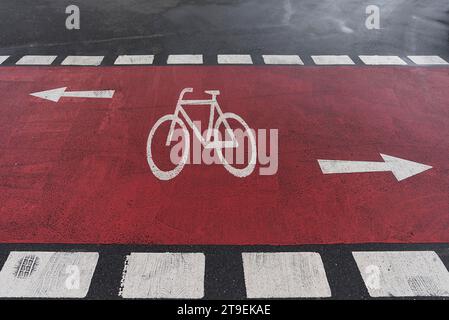 Red marked cycle path on a district road, Erlangen, Middle Franconia, Bavaria, Germany Stock Photo