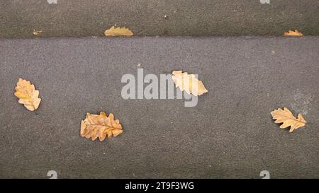 autumn abstraction of orange oak leaves on gray steps, photo on the theme of autumn mood, fallen leaves on a dark surface as an abstract background Stock Photo