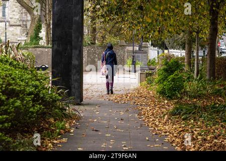 Woman walks through fallen leaves in Clonakilty, West Cork, Ireland during autumn. Stock Photo